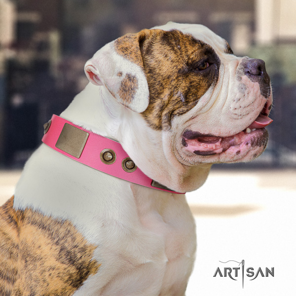 American Bulldog everyday walking leather collar with significant decorations for your doggie
