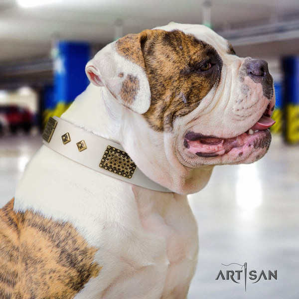 American Bulldog stylish genuine leather dog collar with decorations for easy wearing