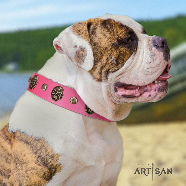 American Bulldog walking natural leather collar with unique decorations for your pet