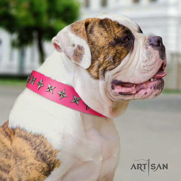 American Bulldog unique genuine leather dog collar with decorations for walking