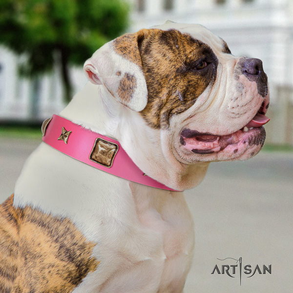 American Bulldog unique genuine leather dog collar for comfy wearing