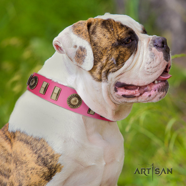 American Bulldog embellished leather dog collar for handy use