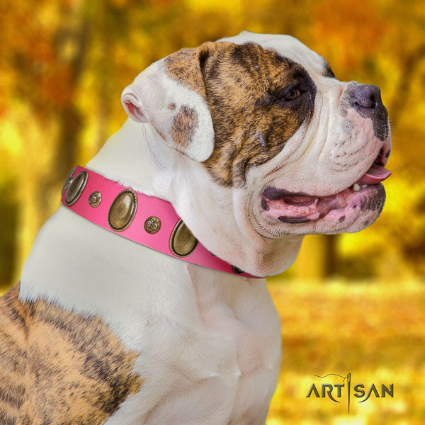 American Bulldog inimitable natural genuine leather dog collar for easy wearing