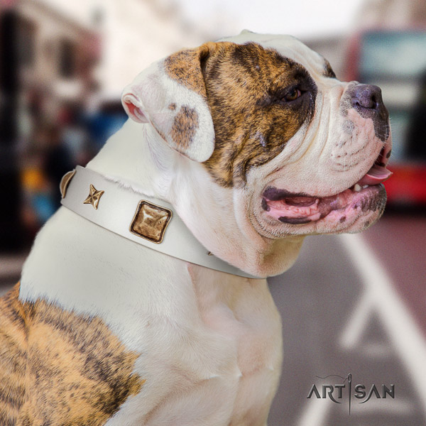 American Bulldog stylish design leather dog collar for handy use