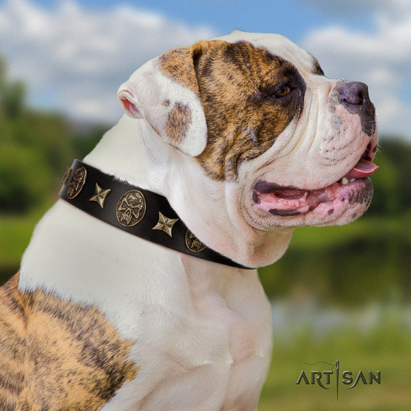 American Bulldog amazing natural genuine leather dog collar for easy wearing