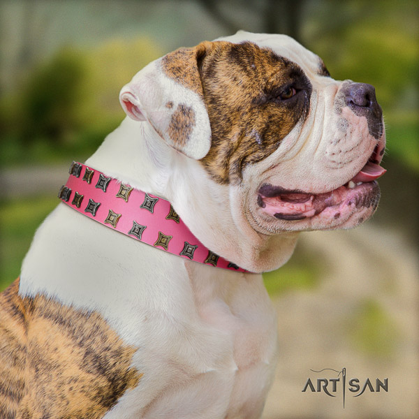 American Bulldog inimitable full grain leather dog collar for fancy walking