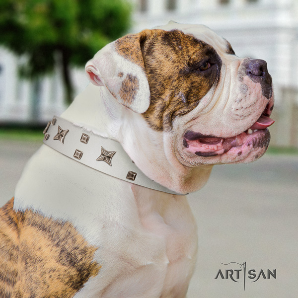 American Bulldog decorated natural genuine leather dog collar for comfy wearing