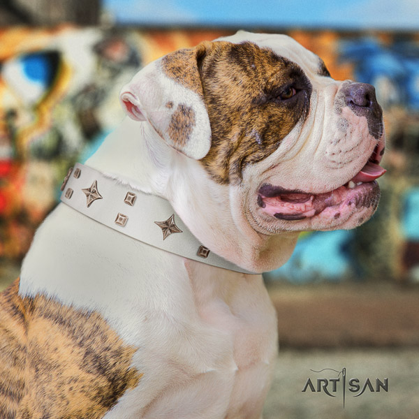American Bulldog easy wearing natural genuine leather dog collar for basic training