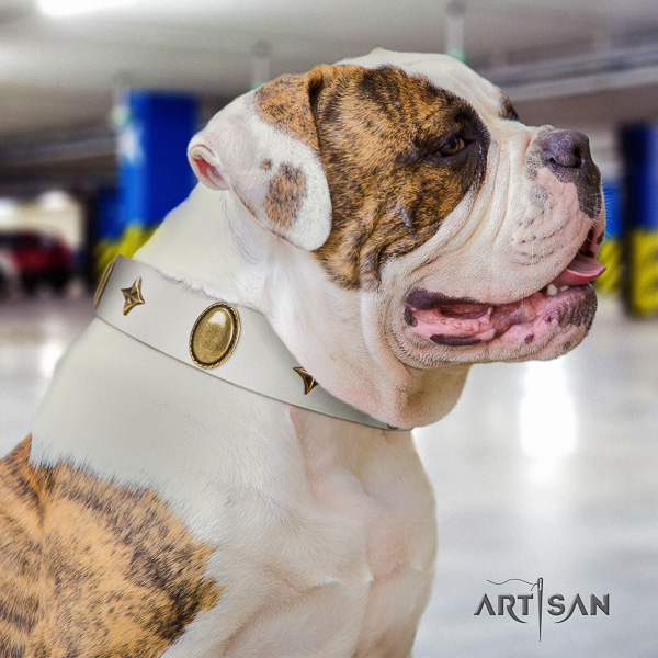 American Bulldog unusual natural genuine leather dog collar for comfortable wearing