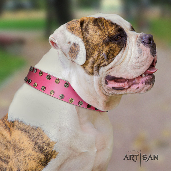 American Bulldog fine quality natural genuine leather dog collar for everyday walking