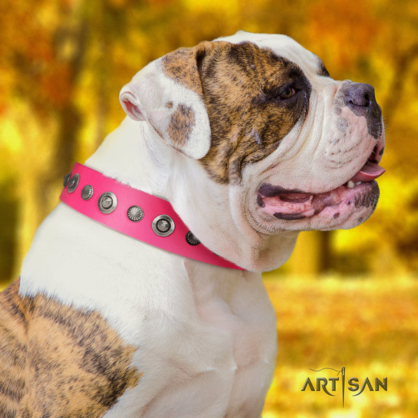 American Bulldog significant leather dog collar with decorations for comfortable wearing