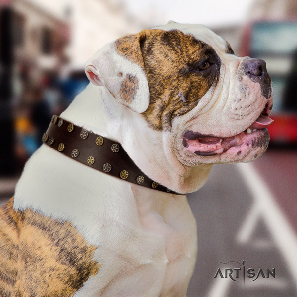 American Bulldog unusual natural genuine leather dog collar for everyday use