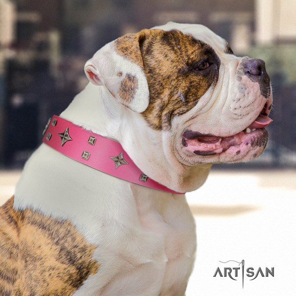 American Bulldog adorned genuine leather dog collar for everyday walking