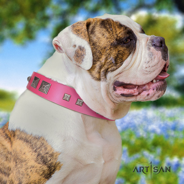American Bulldog designer leather dog collar for easy wearing