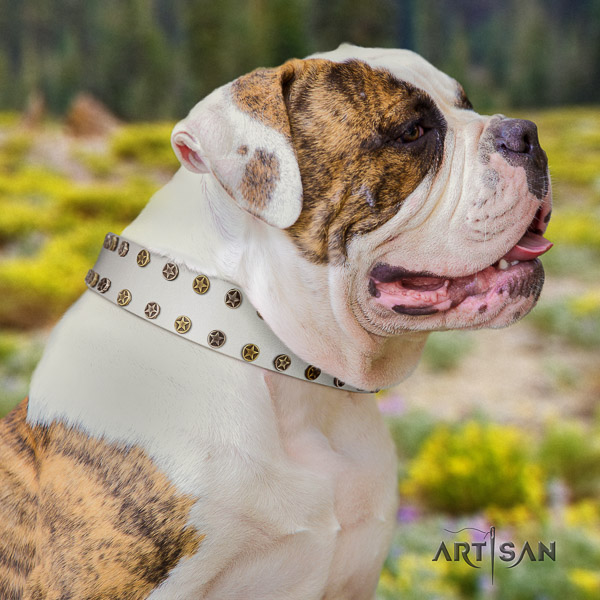 American Bulldog decorated genuine leather dog collar for handy use