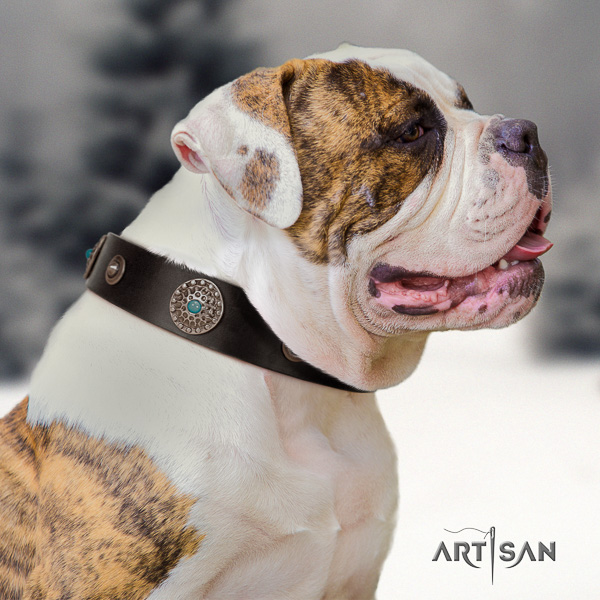 American Bulldog exceptional full grain genuine leather dog collar for daily use