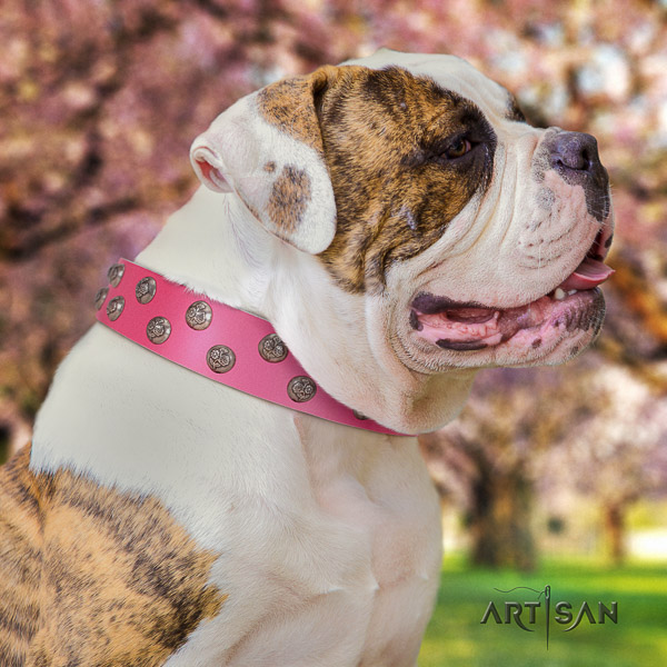 American Bulldog decorated natural genuine leather dog collar for daily walking