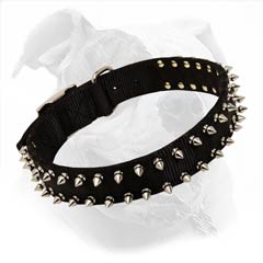 High quality spiked collar will look amazing on your Bully