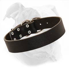 natural leather collar for your Bully