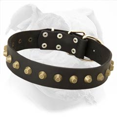 Studded Leather Collar for American Bulldog
