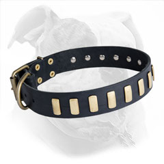 decorated with plats leather collar