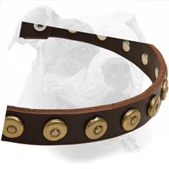Lightweight Collar for Everyday Use