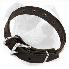 Studded Leather Collar for American Bulldogs