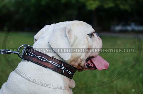 Painted in Barbed Wire Leather Collar 