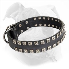 Studded Leather American Bulldog Collar