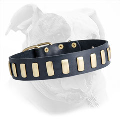Studded Leather Collar for American Bulldogs