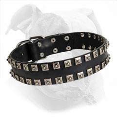 Gorgeous Studded Collar