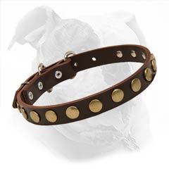 Designer Studded Leather Collar for American Bulldogs