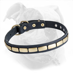 Fashionable Leather Collar for American Bulldog Walking