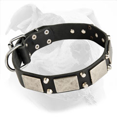 Leather American Bulldog Collar with War-Style Decoration