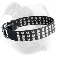 Stylish Leather Collar with Nickel Studs