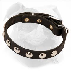 Fashionable Leather Collar with Nickel Half-Balls