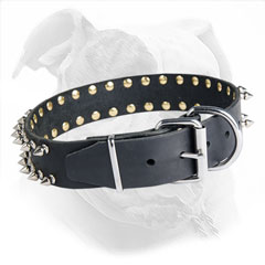 Wide Leather American Bulldog Collar
