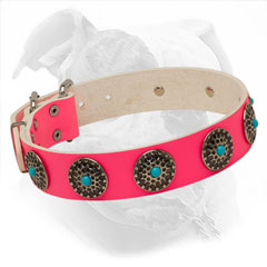 Fashionable Collar for She-Dogs