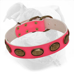 Designer Collar of Retro Style