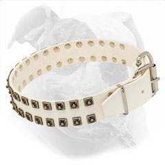 Fashionable White Leather Collar for American Bulldogs
