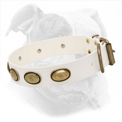 White Leather Collar for Walking
