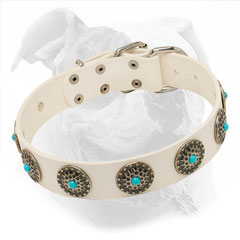 Fashionable White Leather Collar for American Bulldogs
