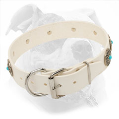 Elegant Leather American Bulldog Collar