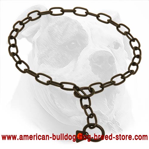 Fur Saver American Bulldog Collar