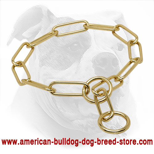 Fure Saver Dog Collar
