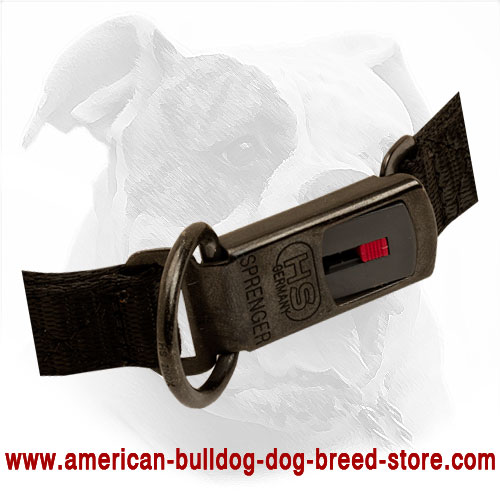  Pinch American Bulldog Collar 