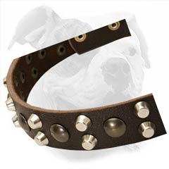 Excellent Quality Buckle Collar for Walking Your Bulldog