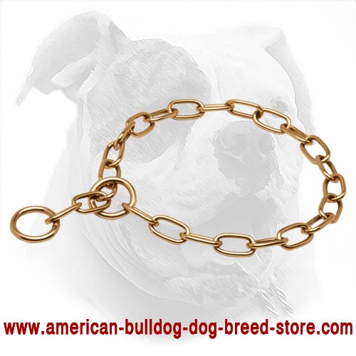 Safe Metal American Bulldog Collar