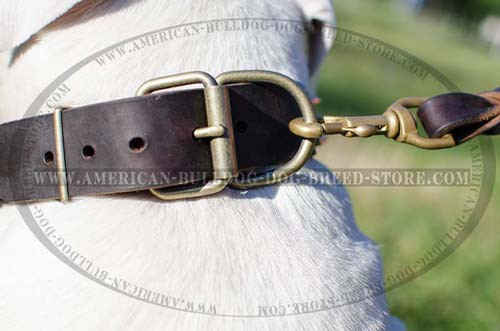 Large Ring for Leash Hook Up