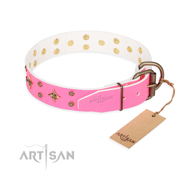 Daily walking full grain genuine leather collar with studs for your canine
